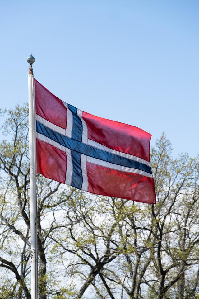 Det norske flagget veier i vinden, tre i bakgrunnen med grøne blad